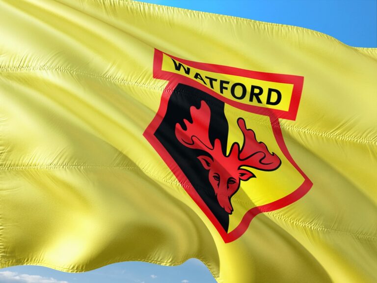 Read more about the article Elton and Watford Football Club – Truly Glamour and Grime