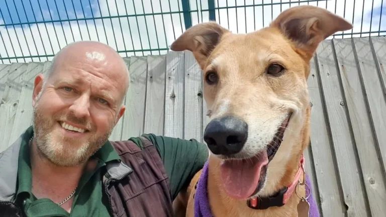 Read more about the article A dog once dubbed “Britain’s most unwanted” has finally found a home.